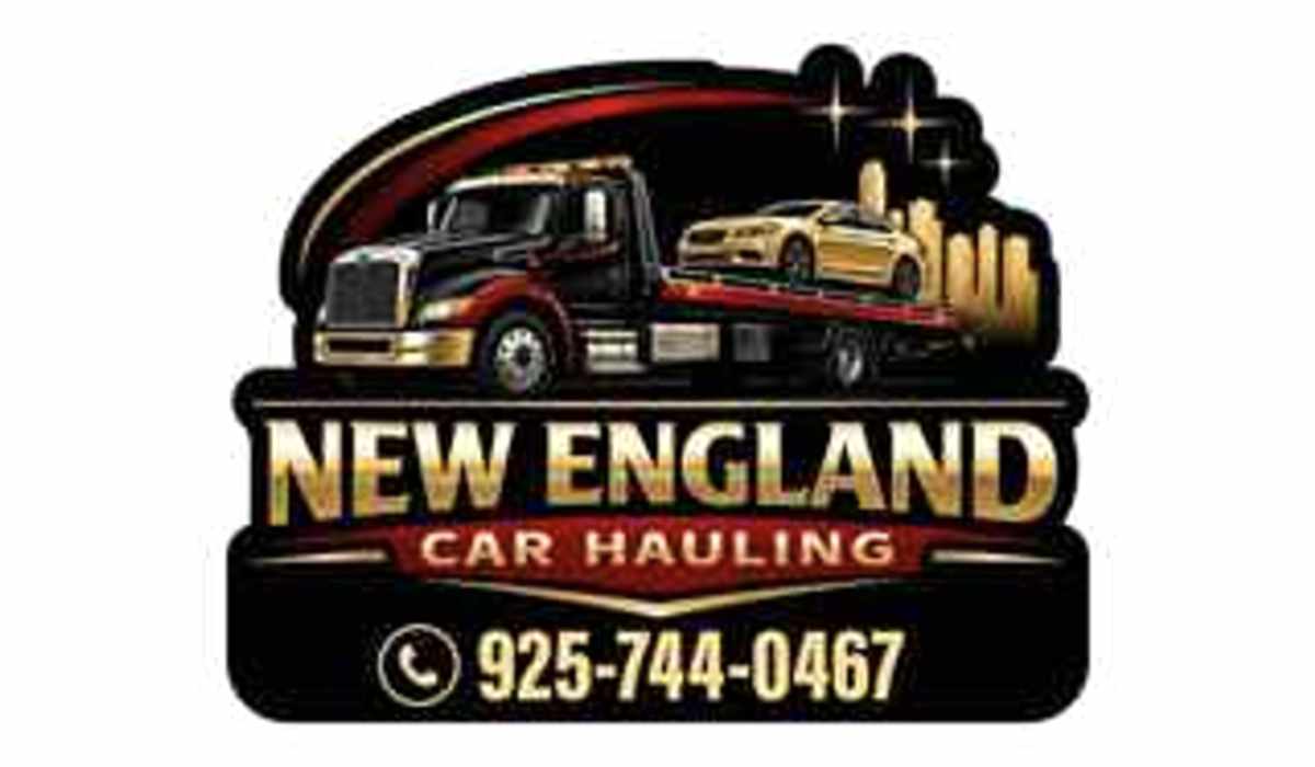 Car hauling logo before: blurry, low resolution